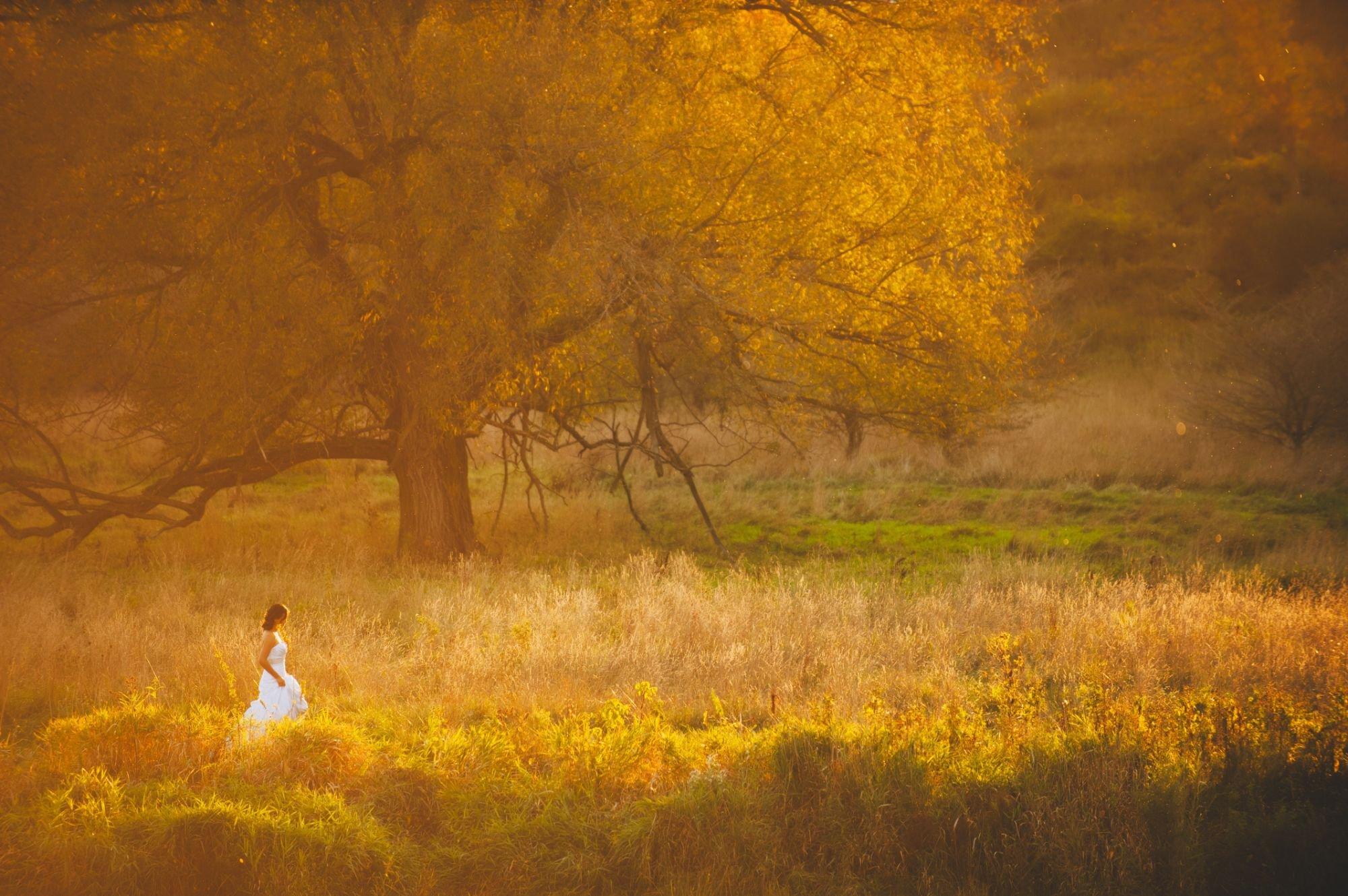 carousel-hero-element image-0